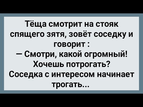 Теща Смотрит На Стояк Спящего Зятя! Сборник Свежих Анекдотов! Юмор!