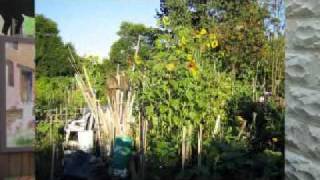 ON A WONDERFUL DAY LIKE TODAY - WRITTEN BY ANTHONY NEWLEY