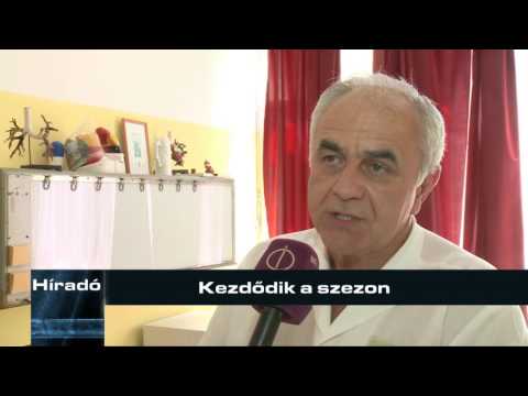 Híradó - 2016. augusztus 2.