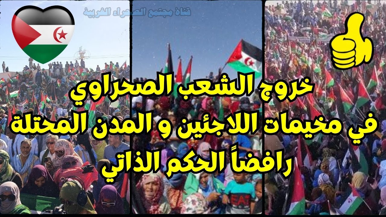 🟢 بث مباشر  RASD TV الاخبار #الصحراء_الغربية 🇪🇭 🇩🇿✌️👍  Rasd Tv Directo   👍🇪🇭