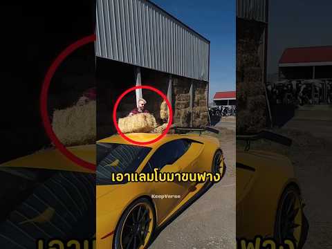 ทำไมชายคนนี้ถึงได้เอาแลมโบมาขนฟางแบบนี้