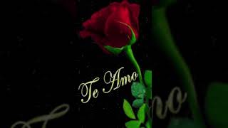 Cuanto Me Gustas- Los Tucanes De Tijuana🖤