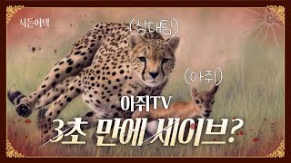 3초 만에 세이브? 역대 최단 시간 세이브 영상