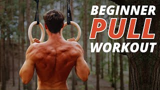 Beginner Rings Pull Workout! (SETS & REPS)