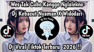 Download lagu DJ WES TAK CUBO KANGGO NGLALEKNO || DJ KEBACUT NYAMAN X WIDODARI VIRAL TIKTOK!!!  mp3