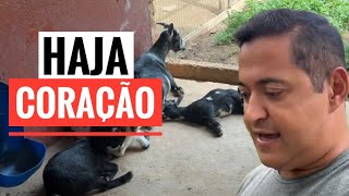 QUASE TIVE UM INFARTO AO VER ISSO NO SÍTIO! 