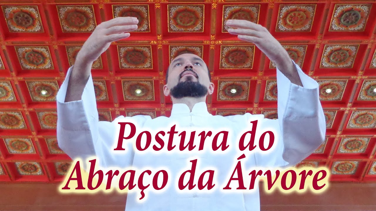 Chi Kung com Posturas Estáticas - ZhanZhuang