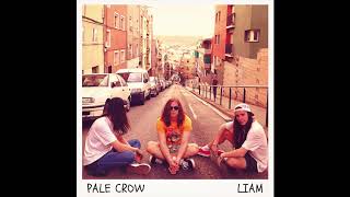 Pale Crow - LIAM (Official Audio)