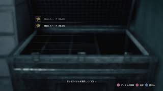 バイオハザードRE:3　２