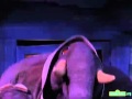 Classic Sesame Street Zydeco 5