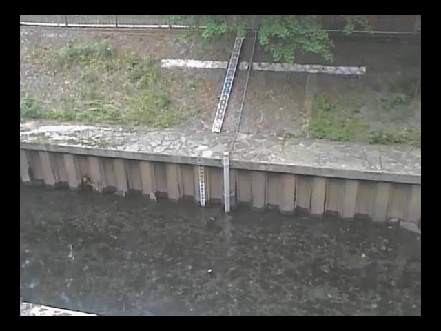 相生橋映像監視局