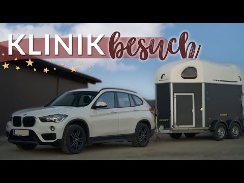 TINO MUSS IN DIE KLINIK 🥺 VLOG 70 | Pilsali