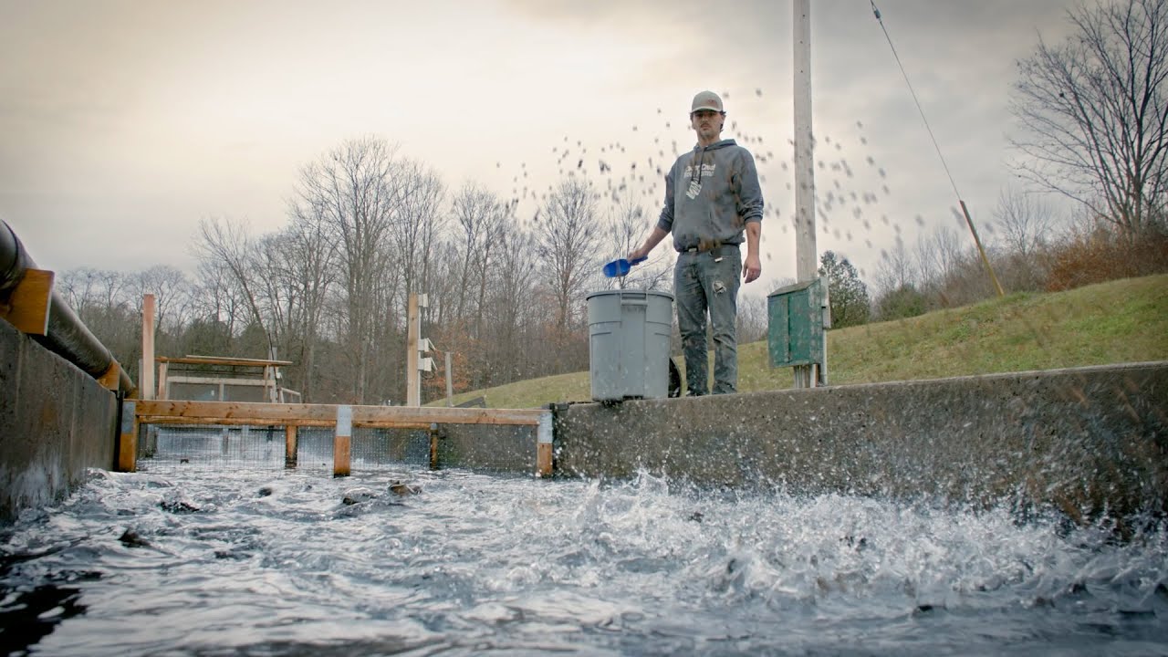 L’aquaculture en Ontario : Une frontière d’eau douce pour l’élevage