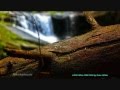 Love will find you by Peter White.avi
