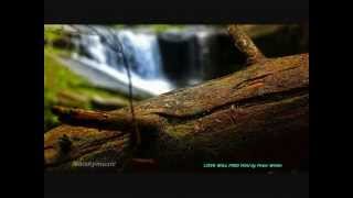 Love will find you by Peter White.avi