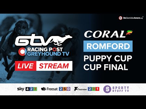 Coral Romford Puppy Cup Final | Live Greyhound Racing