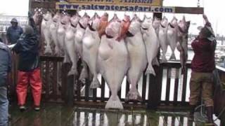 preview picture of video 'Alaska Fishing. Monster Halibut, fishing with Saltwater Safari out of Seward Alaska'