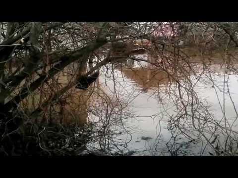 Дачу затопило / Весенний паводок