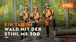 Profesionálna motorová píla STIHL MS 300