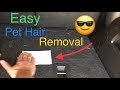 Removing Pet Hair from Car & Clothing. My favorite techniques
