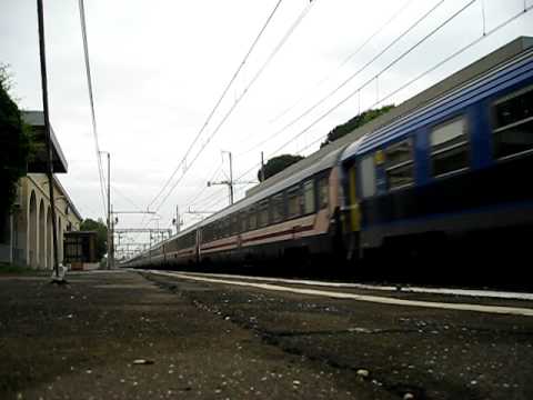 EXP Straordinario Belga + SNCF + E656.005 (Pellegrini per beatificazione del Papa)