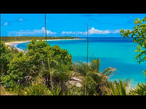 As Praias Mais Lindas Do Litoral Sul De Pernambuco