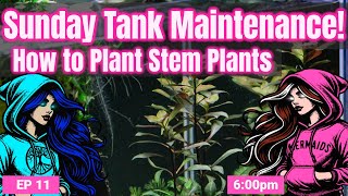 Sunday Tank Maintenance: How to Plant Stem Plants EP11 Live Hosted by Brenda and Dina 📱