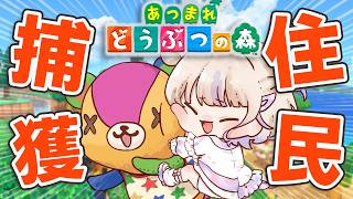 【あつまれどうぶつの森】住民捕獲のお時間です。【轟はじめ/ReGLOSS】