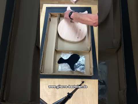 E-Gitarren Bausatz Guitar Kit LP Junior Style Double Cutaway