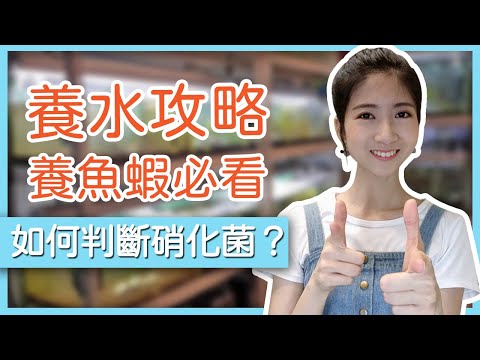 如何知道水養好了