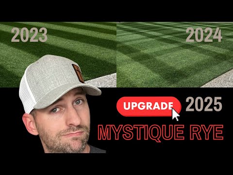 Why I killed one of the darkest lawns on YouTube.