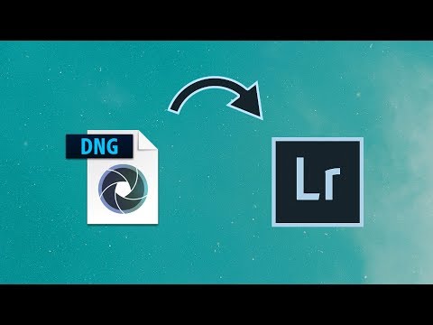 Convert Mobile DNG to lrtemplate or XMP - Signature Edits