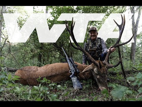 Croatia Red Stag | Worldwide Trophy Adventures