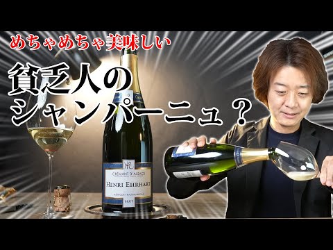 カトリーヌ・クレマンについて詳しく解説