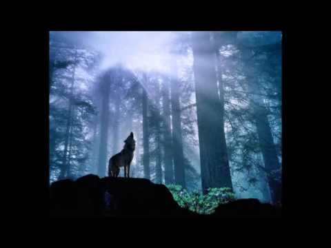 William RichBack - Sfoghi Pt.3 Ft. O'Nirr