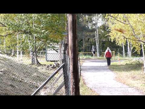 Annaloppet 2010 - Varvning