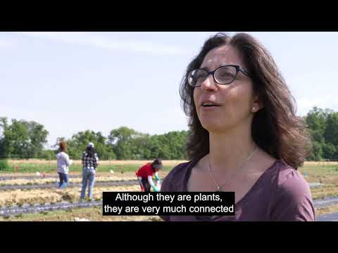 Understanding Microbial Dynamics in an Agricultural Environment