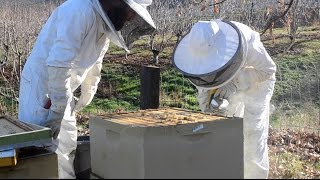 Putting The Bees To Bed