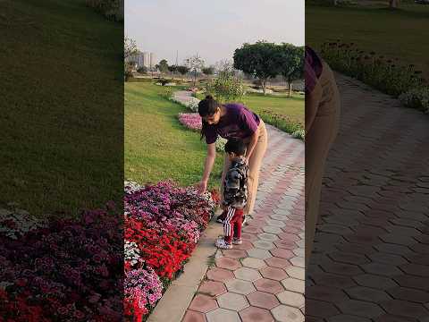 Flower's 🌻🌹🌷🌼🌸#trending #viral #tarushtinytv#shorts #short#shortsfeed #yt #shortvideo #shortfeed