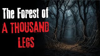 The Forest Of A Thousand Legs Creepypasta Scary Story