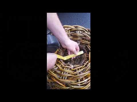 Lobster/crayfish creels - Image 2