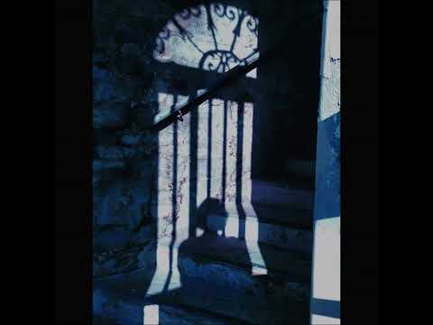 Zoltan Freitag - Out of Knowledge