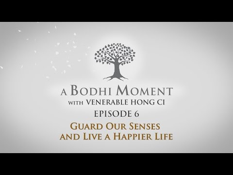 Guard our Senses and Live a Happier Life Video Thumbnail