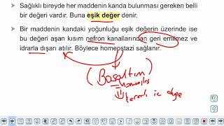 Eğitim Vadisi 11.Sınıf Biyoloji 15.Föy Boşaltım Sistemi 2 Konu Anlatım Videoları