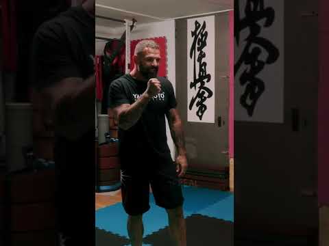 ALESSIO SAKARA explains how to hurt with a PUNCH