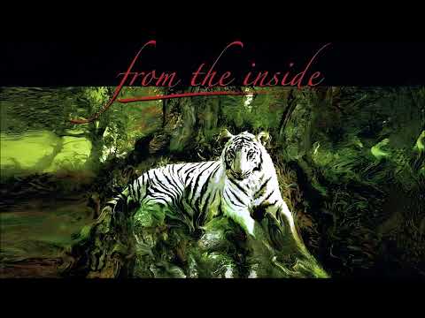 From The Inside (Danny Vaughn) - Visions
