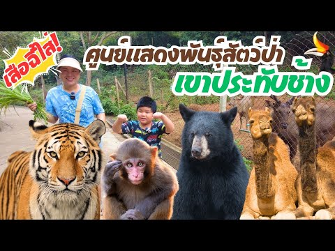Khao Prathap Chang Open Zoo and Wildlife Breeding Research Station