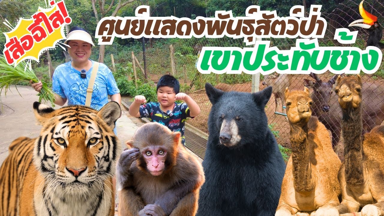 Khao Prathap Chang Open Zoo and Wildlife Breeding Research Station