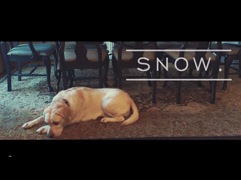 Snow. An iPhone 6 test