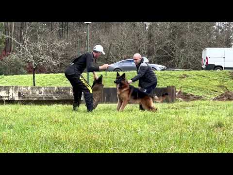 Eros team Tierras Charras